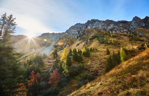  Herbst im Talschluss von Saalbach Hinterglemm