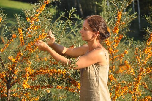 Vorschau Bild von Tanja Kroisleitner in den SANDICCA Sanddorngärten