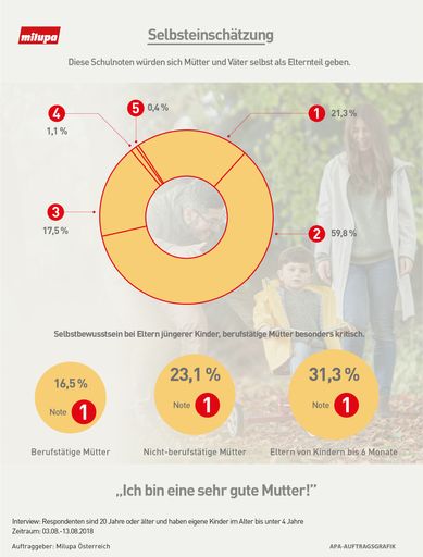 Vorschau Bild von Infografik Selbsteinschätzung