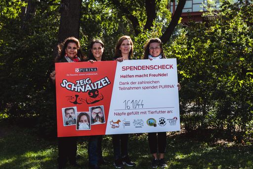 Vorschau Bild von Im Bild v.l.n.r. Carol Byers (Animal Care Austria),
Sonja Müllner (PFOTENHILFE Lochen), Anna Zwettler (Tierheim Bruck
a.d. Leitha), Claudia Herka (Tierheim Parndorf)