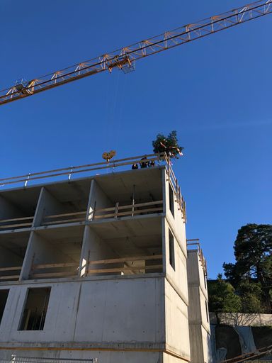 Vorschau Bild von Richtbaum, Rohbau