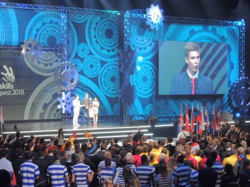  Der Wiener Teilnehmer Oliver Konstantin Klocke
erreichte das "Medaillon for Excellence" im Bereich Hotel Rezeption
bei den EuroSkills 2018 in Budapest