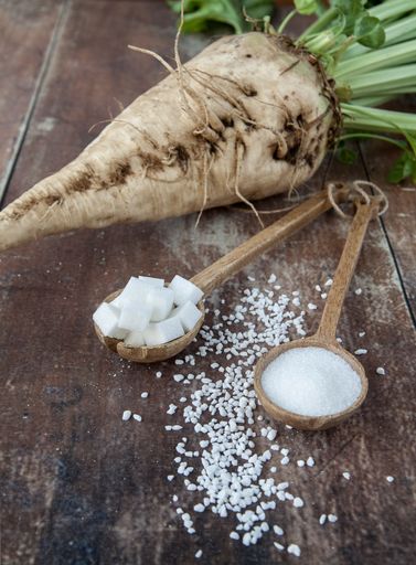 Vorschau Bild von AGRANA - Von der Zuckerrübe zum Endprodukt Zucker