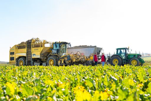 Vorschau Bild von AGRANA - Zuckerrüben Landwirtschaft Traktor Rübentransport