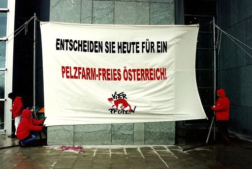Eine Aktion von VIER PFOTEN gegen Pelz in den
Neunziger Jahren. Mit dem Bundestierschutzgesetz 2005 wurde die
Haltung von Pelztieren zur Pelzgewinnung endlich offiziell verboten.