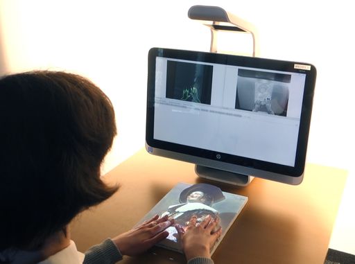 Tastbare Reliefe und gestengesteuerte
Multimediaguides des VRVis machen Kunst auch für Menschen mit Seh-,
Gehör und kognitiver Beeinträchtigung besser erfahrbar.