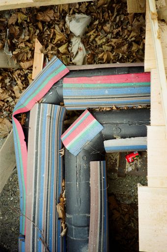 Vorschau Bild von Adolf Frohner Ohne Titel, o. D. Farbfotografie 45 cm x 30 cm
Foto: Adolf Frohner