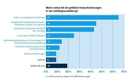 Vorschau Bild von Worin sehen Sie die größten Herausforderungen in der Lehrlingsausbildung?