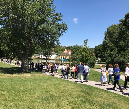  Raus aus dem Kongresshaus - Spaziergang durch den
Eisenstädter Schlosspark zum Lunch in der Orangerie