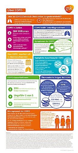 Vorschau Bild von Infographik COPD