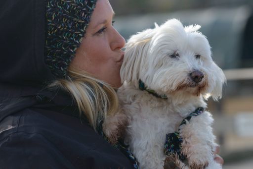 Pfotenhilfe-Geschäftsführerin Johanna Stadler mit
Hund Maxi