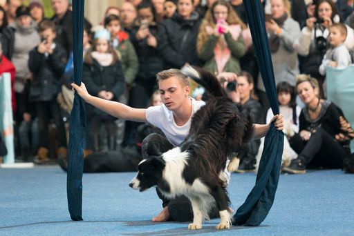  RTL Supertalent Lukas Pratschker und Falco