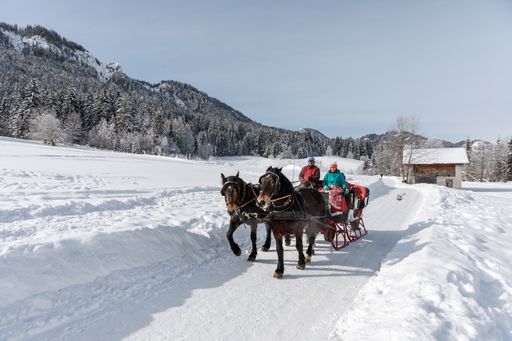 Vorschau Bild von Die Winterlandschaft rund um den Weissensee mit dem
Pferdeschlitten erkunden