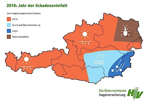 Vorschau Bild von Chart Risiken-Schäden-Karte 2018