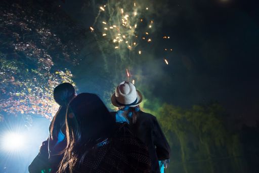 Feuerwerk: Atemberaubend schön, aber bei leichtsinniger Anwendung
brandgefährlich (Bildnachweis: Corbis) Weiterer Text über ots und
www.presseportal.de/nr/131212 / Die Verwendung dieses Bildes ist für
redaktionelle Zwecke honorarfrei. Veröffentlichung bitte unter
Quellenangabe: "obs/Deutsche Vermögensberatung Bank AG/Corbis"