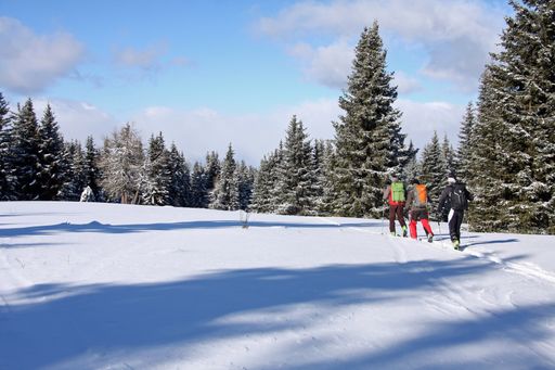 Vorschau Bild von Skitouren gehen im Naturpark Zirbitzkogel-Gebenzen
