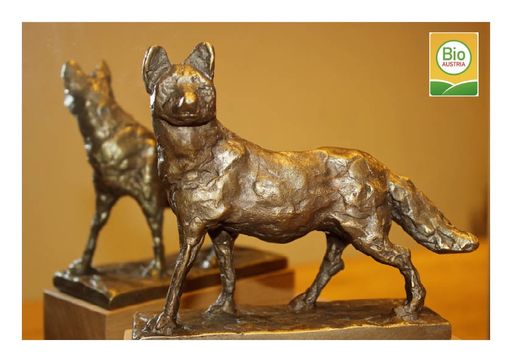 Vorschau Bild von Die Trophäe Bio-Fuchs wird alljährlich an das erst gereihte
Projekt vergeben.