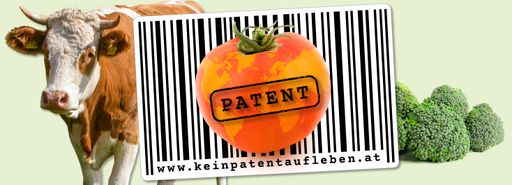 Vorschau Bild von Credit Doris Steinböck