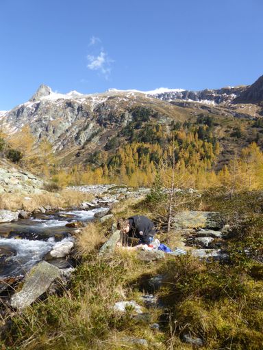 Vorschau Bild von Datenerhebung im Dorfertal im Nationalpark Hohe
Tauern