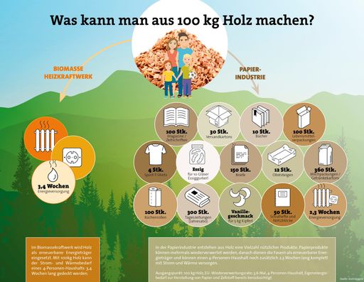 Was kann man aus 100 kg Holz alles machen?