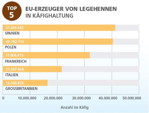 Die Top 5 Erzeuger von Legehennen aus Käfighaltung
in der EU