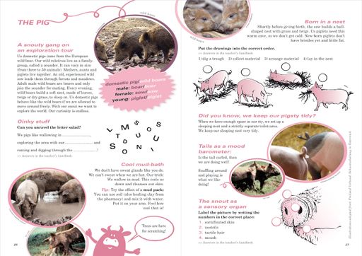 Vorschau Bild von Unterrichtsheft "Animal-pro: Let's talk about
animal protection and welfare" vom Verein Tierschutz macht Schule
Weitere Informationen:
https://www.tierschutzmachtschule.at/animal-pro