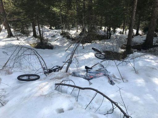 Vorschau Bild von Von Bande gestohlene E-Bikes im Wald entledigt.