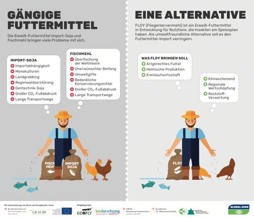 FLOY (Fliegelarvenmehl)ist ein Eiweiß-Futtermittel
in Entwicklung für Nutztiere, die Insekten als Speiseplan haben. Als
umweltfreundliche Alternative soll es den Futtermittel-Import
verringern.