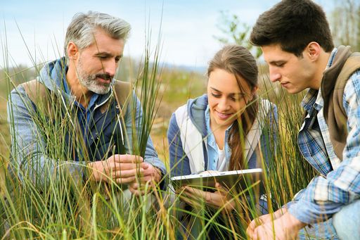 Teacher with students in agronomy looking at vegetation