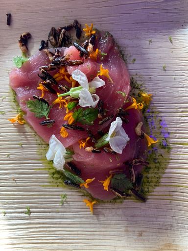Vorschau Bild von Gourmetfest Carmel by the Sea