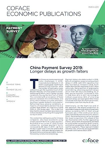 Vorschau Bild von China Payment Survey 2019 (in engl. Sprache)