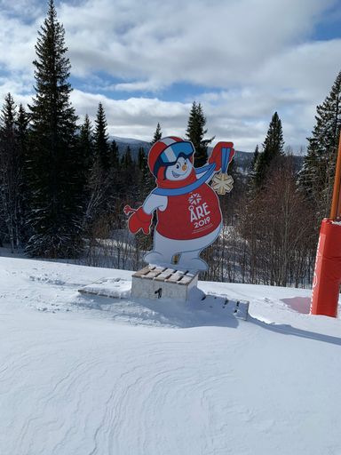 Vorschau Bild von Skiexkursion Skandinavien