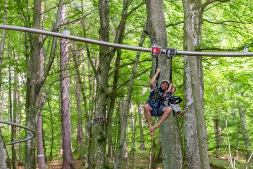 Vorschau Bild von Ein einmaliges Familiennaturerlebnis auf über
30.000 m² Gesamtfläche erwartet euch in Österreichs erstem
Familywald.