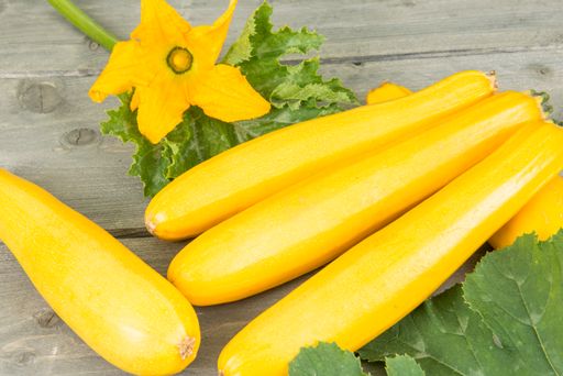 Vorschau Bild von Aromatische Früchte bringt das Gemüse des Jahres
Jeanny Zucchini