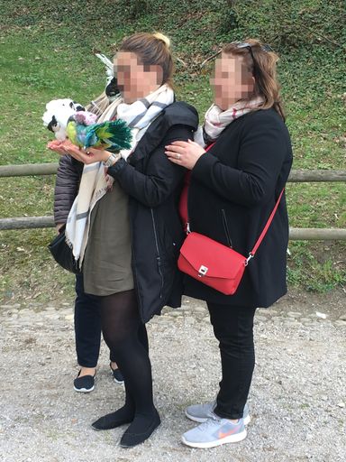Für eine solche Tierquälerei wird Geld verlangt