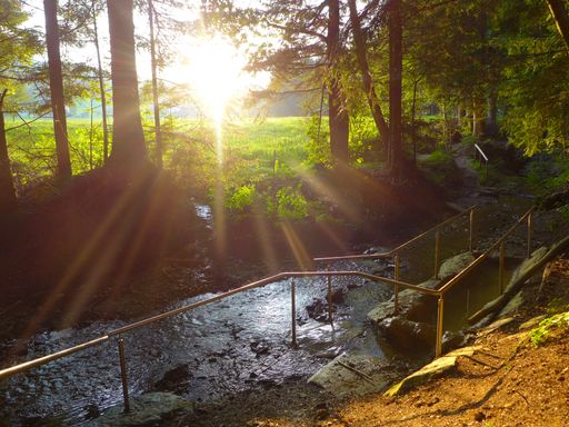 Vorschau Bild von unberührte Natur und beste Luftqualität, so
präsentieren sich die Wanderwege in Wenigzell.