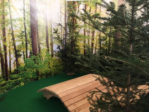  Bänke mitten im Wald laden zum Waldbaden