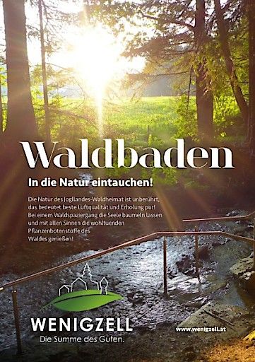 Vorschau Bild von Alle Information zum Waldbaden in Wenigzell