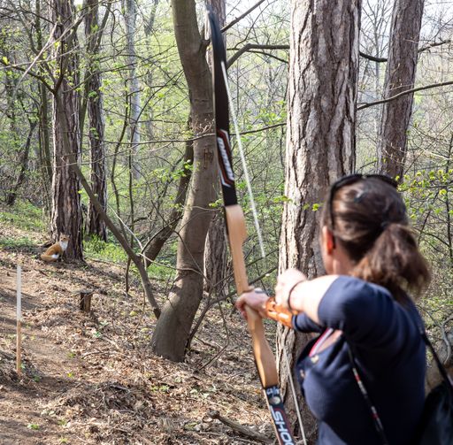 Vorschau Bild von Spaß & Konzentration im neuen 3D-Bogensportpark am
Kahlenberg