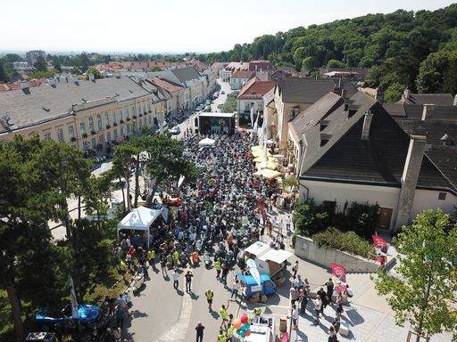  Wenn sich die große Vespa- und Rollerfamilie in
Perchtoldsdorf trifft, sieht das von oben gesehen wie ein
Ameisenhaufen aus. Und wer weiß, wieviel Kraft in einem
Ameisenhaufen steckt, weiß auch was diese Familie gemeinsam leisten
kann.