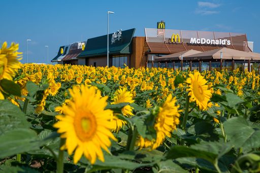 Vorschau Bild von McDonalds Österreich Restaurant in Schwechat