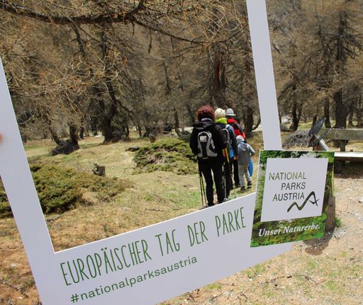 Neben erlebnisreichen Wanderungen im Nationalpark Hohe Tauern
kann man am Europäischen Tag der Parke viele Ausstellungen kostenlos
Indoor besuchen oder in Wien im Tiergarten Schönbrunn
Nationalparkluft schnuppern.