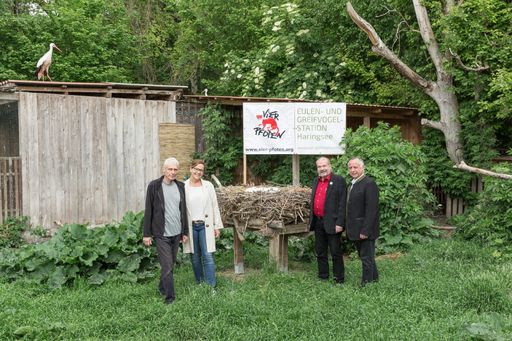  Beim Storchennest in der von VIER PFOTEN geführten
Eulen- und Greifvogelstation Haringsee: Schauspielerin Monica
Weinzettl übernahm Patenschaft für drei Storchenbabys