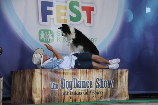 Vorschau Bild von Dreamteam bei der Dogdance Show - Supertalent Lukas
mit Hund Falco