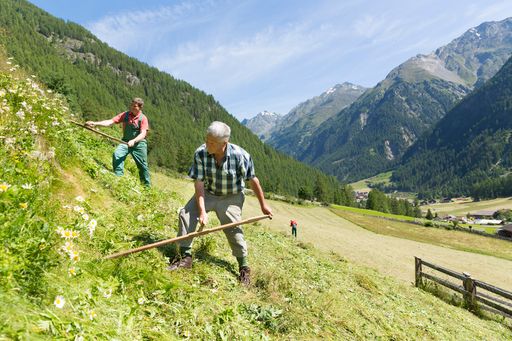 Freiwillig am Bauernhof mithelfen: Besondere
Erfahrung in der Bergwelt Nord- und Osttirols.