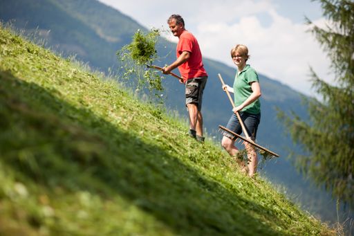 Vorschau Bild von Der einmalige Duft von frisch gemähtem Gras
entschädigt für die Anstrengung. Zahlreiche Helferinnen und Helfer
genießen die körperliche Arbeit in der Natur am Bergbauernhof.