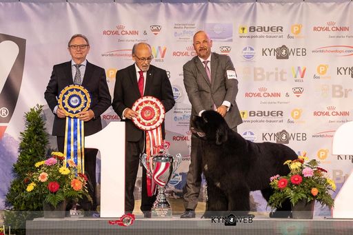 So sehen Sieger aus- Europas schönster Rassehund
2019