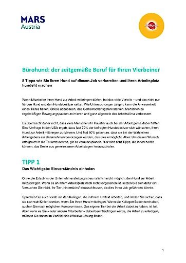 Vorschau Bild von 8 Tipps zum Bürohund: So wird Ihr Unternehmen hundefit