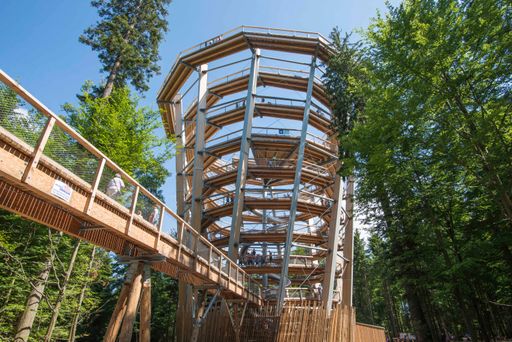  Markantes Landmark der Baumwipfelpfade: der
Aussichtsturm, 40 m über dem Waldboden. Das Erlebnisfernrohr VIScope
ist Teil dieser unterhaltsam-lehrreichenInszenierung der bayerischen
Erlebnis Akademie.