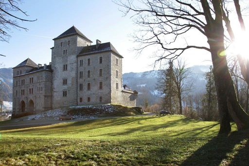 Vorschau Bild von Das adelige Schloss Fischhorn wird durch seinen
Betreiber Markus Hofbauer auch zum Gastgeber betroffener Familien!